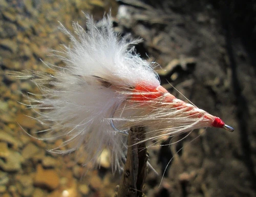 Gilchrist Fliegen. 3 x SPEY SHRIMP. Pattegrisen Variant.Salzwasserhaken Gr.2/0
