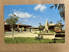 Postcard Kaanapali Maui HI Hawaii Whalers Village Sperm Whale Skeleton