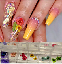 Nail dry dried flowers for acrylic gel acrygel naturaleza muerta para u as