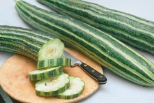 50+ Organic Heirloom striped Armenian cucumber seeds  - Tasty - NON - GMO, 2025
