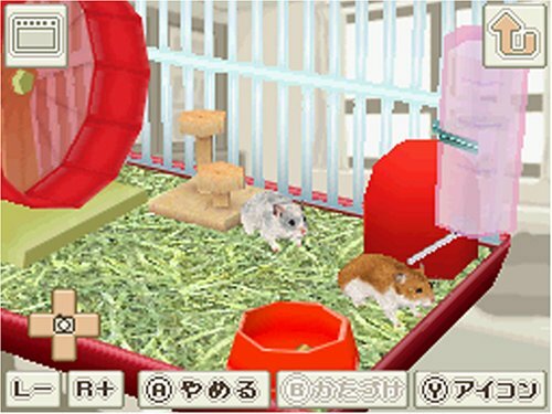 ラブラブハムスター DS 未開封 Amazon | ラブラブハムスター | ゲームソフト