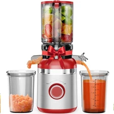 GlowWise Juicer Machines, Cold Press Juicer for Whole Vegetables & Fruits, Red