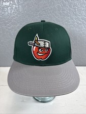 Minor League Baseball Hat Fort Wayne TinCaps Adult Adjustable NWT