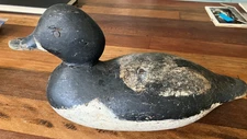 Antique Vintage Wood Duck Decoy MASON  Blue Bill  Tac Eye - 13 1/2”