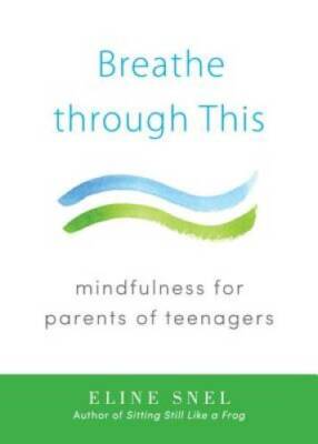 Breathe through This: Mindfulness for Parents of Teenagers - Paperback - GOOD