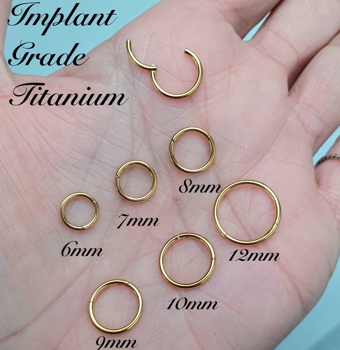 Implant Grade TITANIUM Hinged Segment Ring Hoop Earring Lip 1mm  6mm 20g