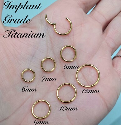 Implant Grade TITANIUM Hinged Segment Ring Hoop Earring Lip 1mm  6mm 20g UK