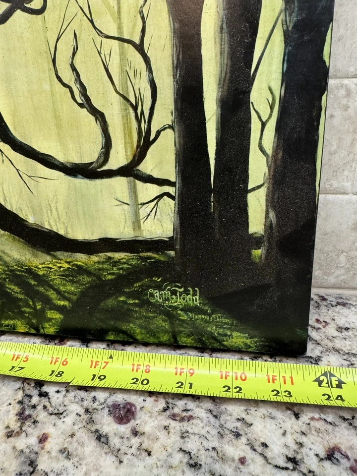 Discraft Cam Todd Signed Painted Picture Misty Greens Wow Very Nice Fast Ship - Image 2 of 4