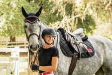 BLACK ENGLISH SADDLE PAD SET FLY VEIL HORSE E...