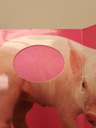 Lot Of 20 Board Books Einstein, Boynton, Peter Rabbit... #6.5.9 | eBay