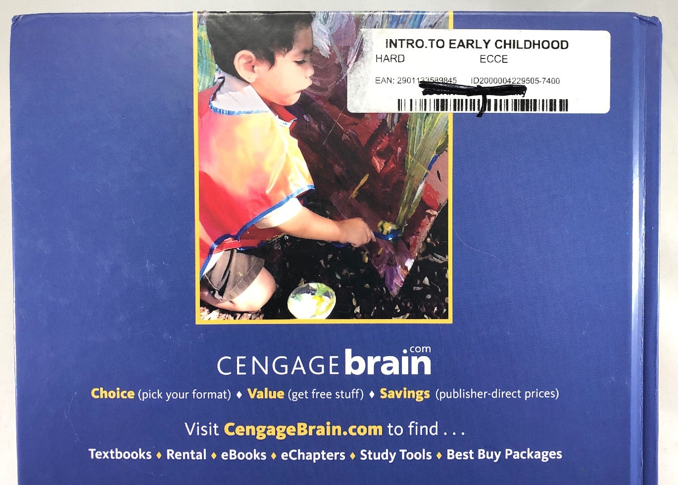 Introduction to Early Childhood Education 7th Edition by Eva L. Essa ...