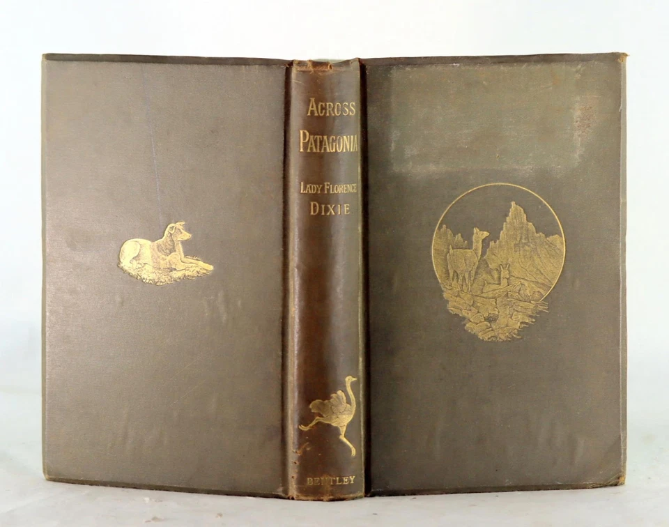 Lady Florence Dixie Julius Beerbohm 1st Ed 1880 Across Patagonia Hardcover - Image 3 of 4
