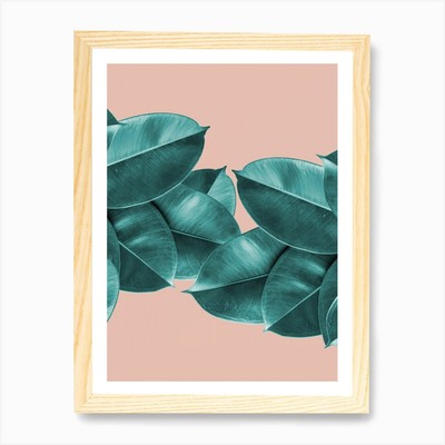 Green Blush Ficus Blätter Kunstdruck gerahmt Wandbild Poster Leinwanddruck Bild