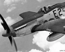 North American P-51 Mustang World War II WWII WW2 8x10 Photo 444c