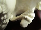 Foto 8 di 11