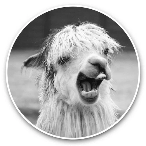 2 x Vinyl Stickers 20cm (bw) - Awesome Llama Alpaca Face  #37631