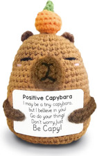 Positive Crochet Capybara Inspirational Gifts, Handmade Capybara Plush Emotional