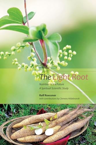 The Light Root by Clemens Hildebrandt (Paperback Book) - Image 4