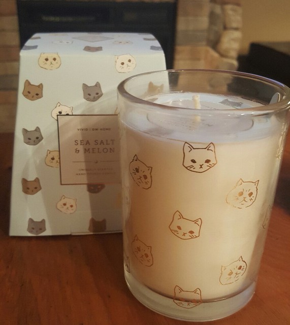 DW Home Vivid Candle Collection Cat SEA SALT & MELON Uniquely Scented