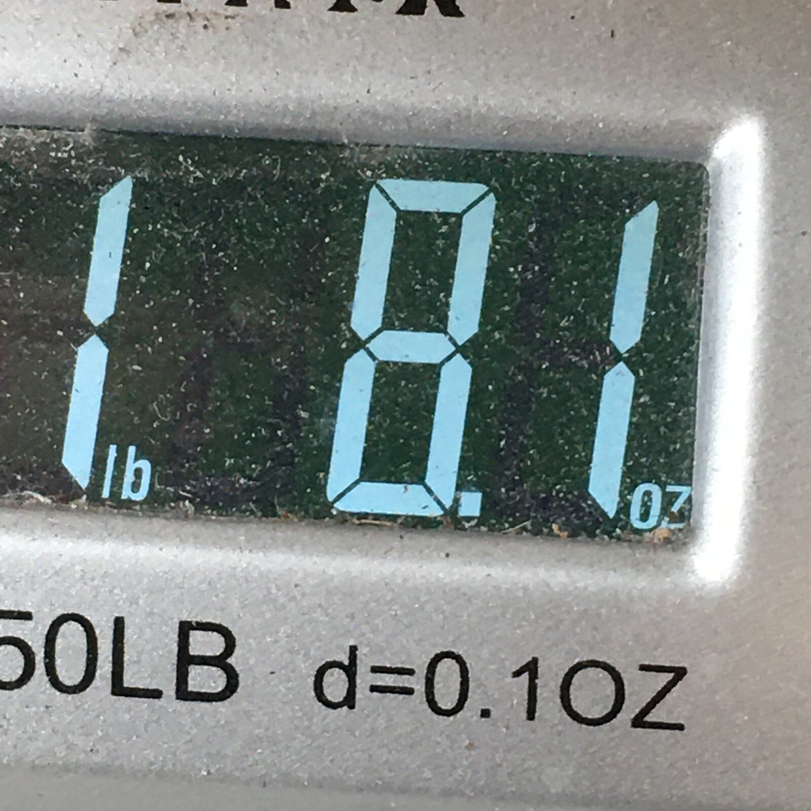 Picture 16 of 17