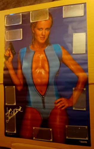 PÓSTER DE BIKINI VINTAGE DE JUNIO CHADWICK MODELO ACTRIZ 23,25"x 35" (1986)🔥 - Imagen 3 de 5