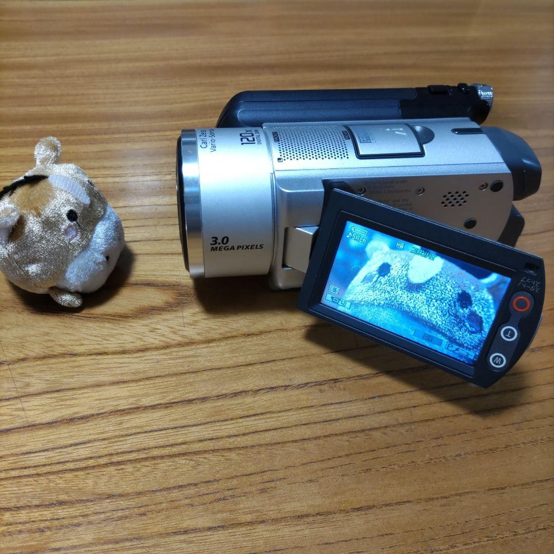 SONY Handycam DCR-SR100 Silver Camcorder Video Camera 10x Zoom