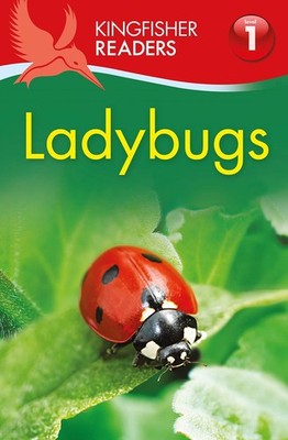 Kingfisher Readers L1: Ladybugs by Feldman