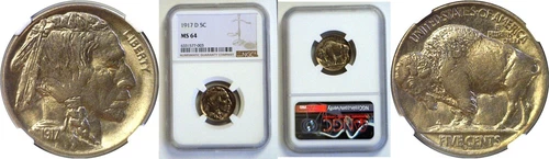 1917-D 5C Buffalo Nickel NGC MS-64