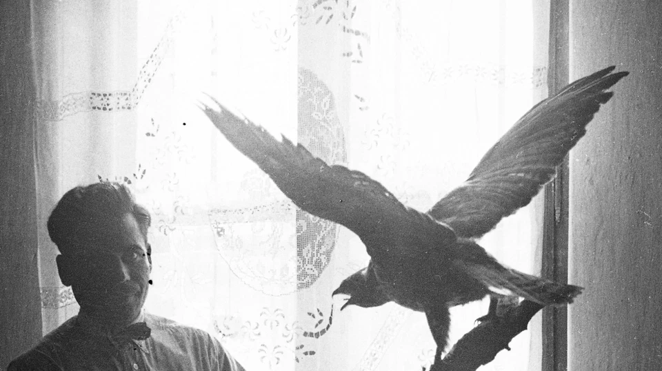 Negativo VIDRIO, hombre elegante con pájaro extraño, luz inusual, años 20 Foto 4 de 4