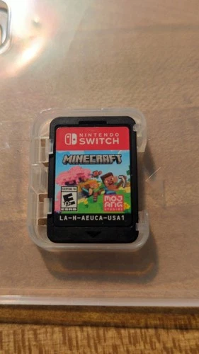 Nintendo Switch Minecraft with Case No Cover Tested Working Video Game