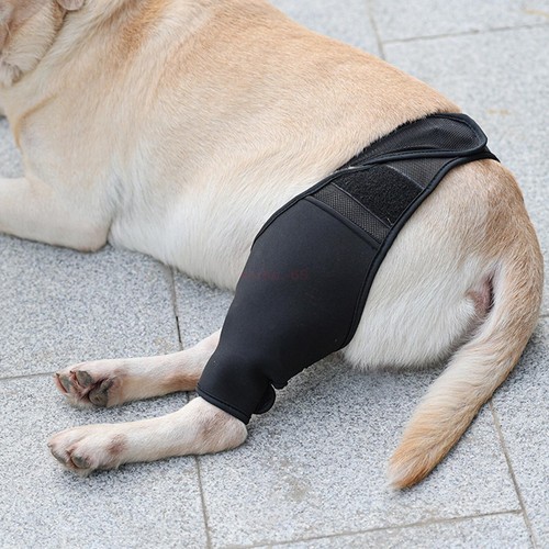 Dog Elbow Protector Pads Dog Legs Protector Dog Knee Brace Protective Sleeve❤❤ - Picture 72 of 78