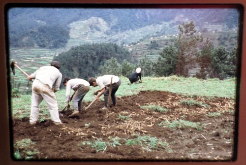 Lot of 140 Vintage Slides 1971 Trip to Spain & Portugal Beautiful Scenery #2 - Picture 10 of 12