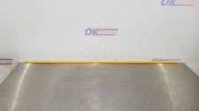 02 Pontiac Firebird Trans Am Collector Edition Exterior Door Trim Molding Yellow