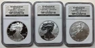 2006-W-P Silver American Eagle Anniversary Set - Graded NGC PF70 MS70 Reverse RP