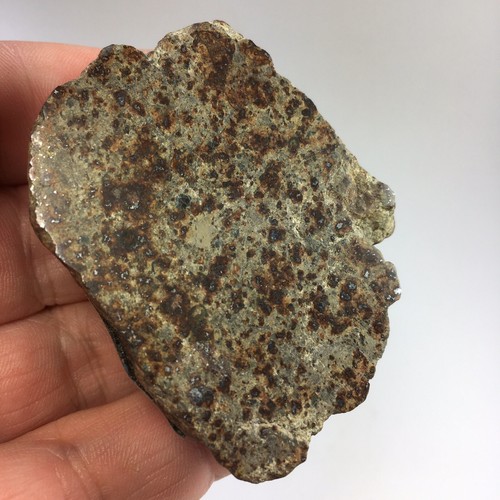 Chondrite Meteorite NWA L5 Morocco Part Polished Section Weighs 94 Grams - Picture 7 of 12