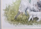 Bild 4 von 9