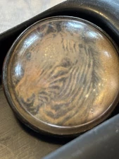 Bridle Rosette Zebra Rare