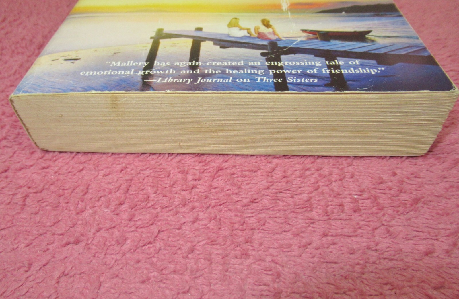 Bild 257 von 448