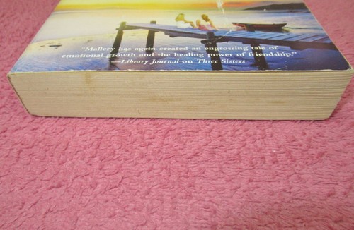 SUSAN MALLERY - Baue viel - Romantik - Fool's Gold Serie + Lone Star Sisters - Bild 257 von 448