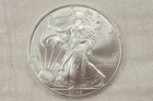 NobleSpirit (LG) 2009 American Eagle 1oz Silver Dollar Superb Gem BU