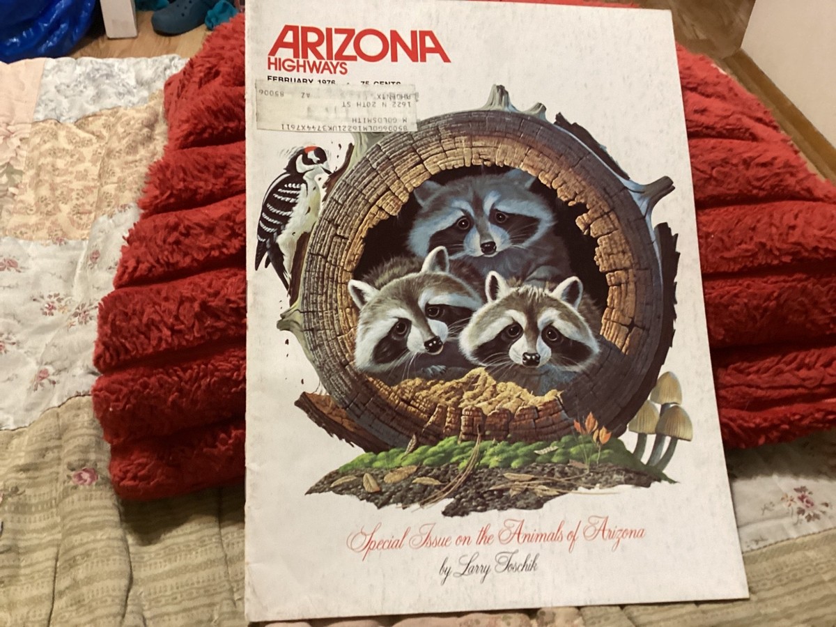 ARIZONA HIGHWAYS FEBRUARY 1976 ANIMALS OF ARIZONA BY LARRY TOSCHIK
