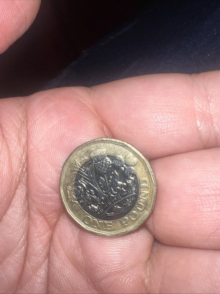 2019 Beautiful One Pound Queen Elizabeth II Coin....Rare Date Amazing Condition - Image 2 of 2