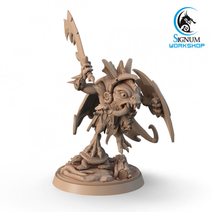 Miniature D&D/wargames Signum Workshop Dicembre 2022 resina dettagliata 3d print