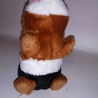 Bild 11 von 12
