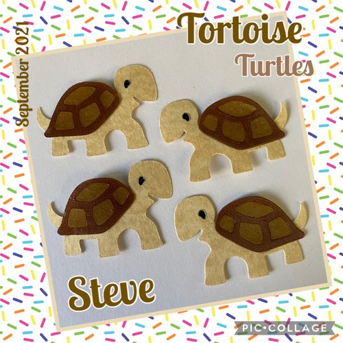 Tortugas tortuga animal mascota mascotas zoológico jardines bebé troquelados - Imagen 15 de 15