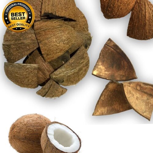 COCONUT SHELL CHIPS 500g | 100% NATURAL PURE SRI LANKAN PRODUCT - Afbeelding 1 van 6