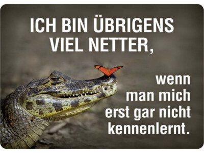 ICH BIN VIEL NETTER - KENNENLERNT - KROKODIL Blechpostkarte 10x15 cm PC302/208