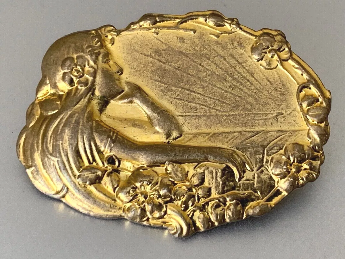 Art nouveau deals brooches antique