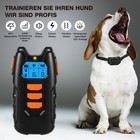 Bild 3 von 19
