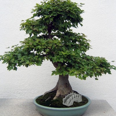 Miniatur Brücke Figuren Bonsai Ornament Miniatur Anlage Figuren
